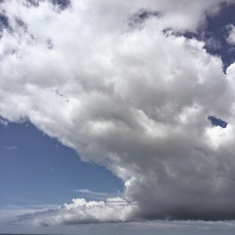 ガッツ王子 Youtube