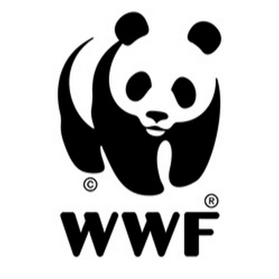 WWF Guianas Avatar de canal de YouTube