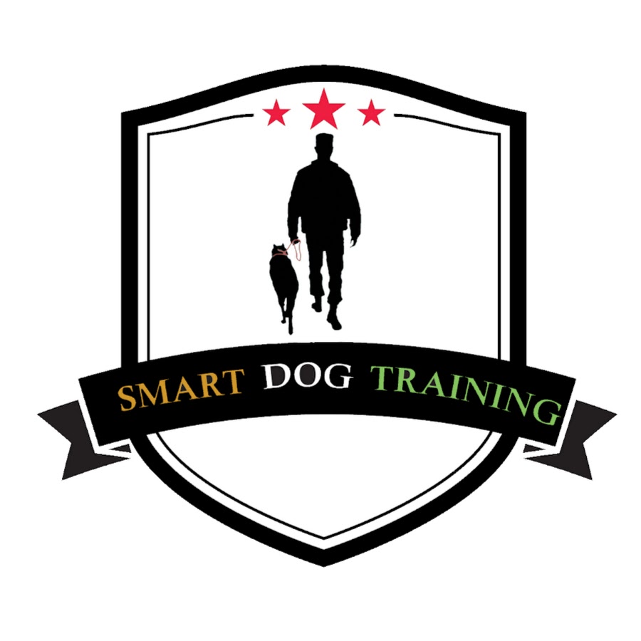 SMART DOGS TRAINING यूट्यूब चैनल अवतार