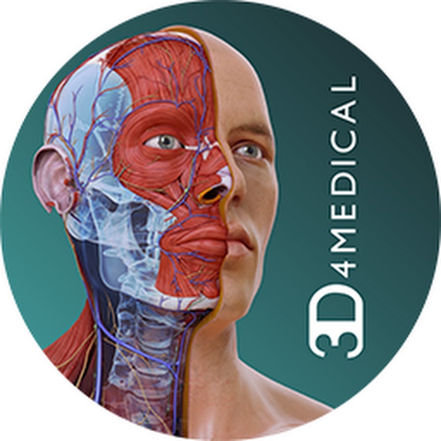 3D4Medical YouTube channel avatar