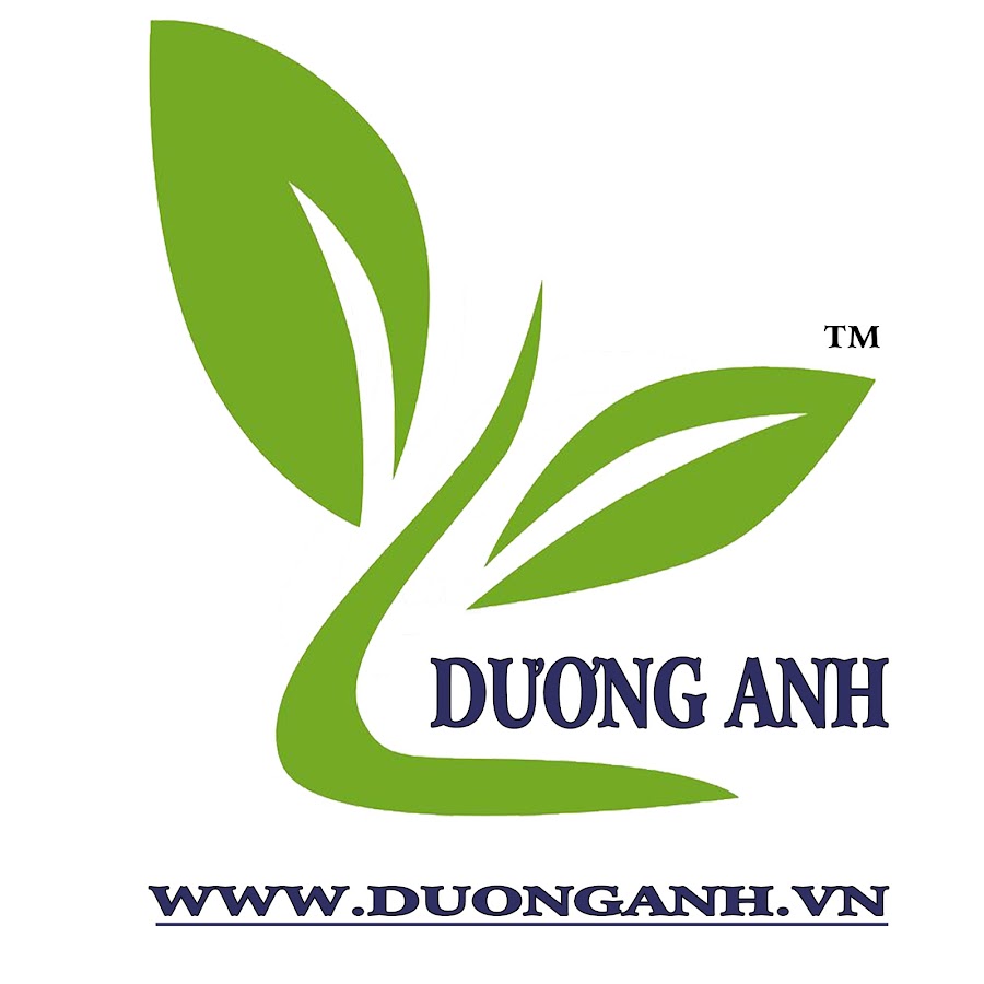 DÆ°Æ¡ng Anh Avatar channel YouTube 