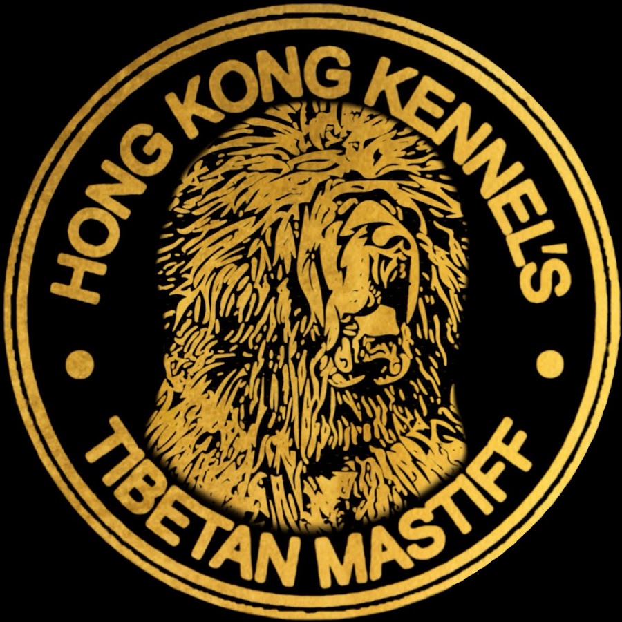 Hong Kong Kennel's Tibetan Mastiff YouTube channel avatar