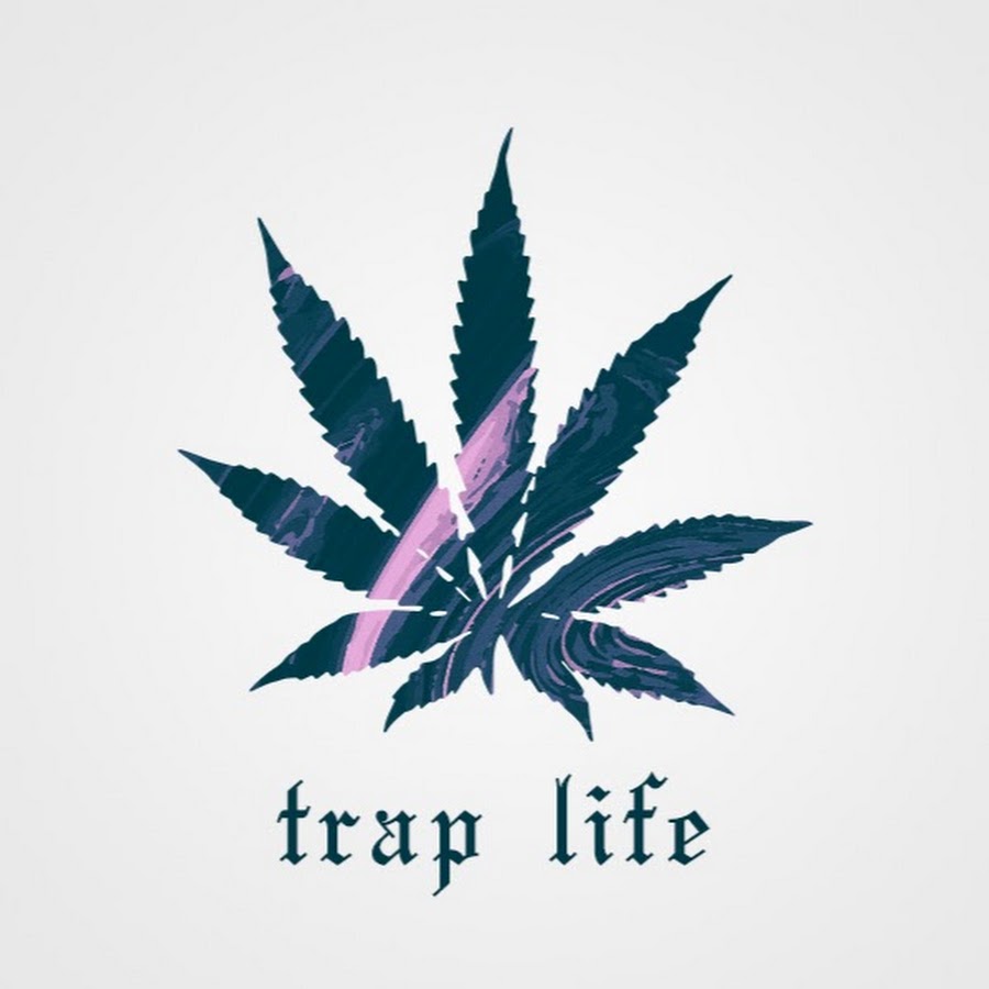 TRAP LIFE رمز قناة اليوتيوب