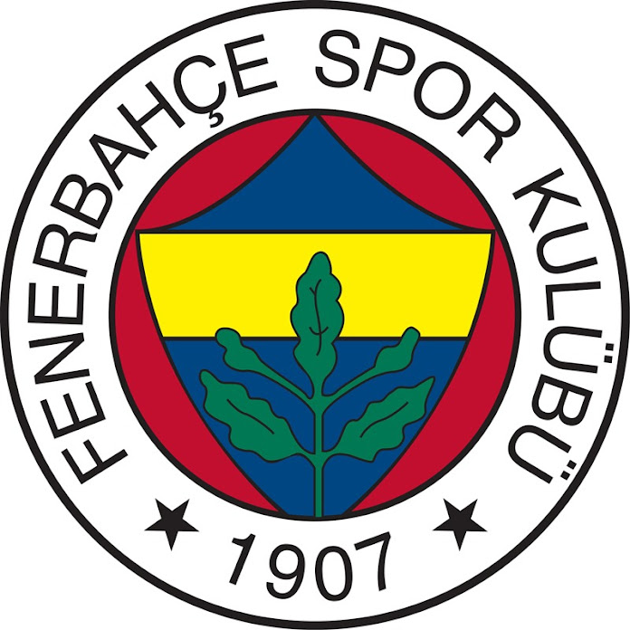 Fenerbahçe SK Net Worth & Earnings (2025)