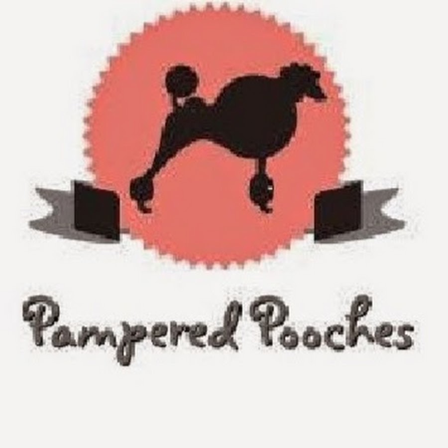 Pampered Pooches YouTube channel avatar