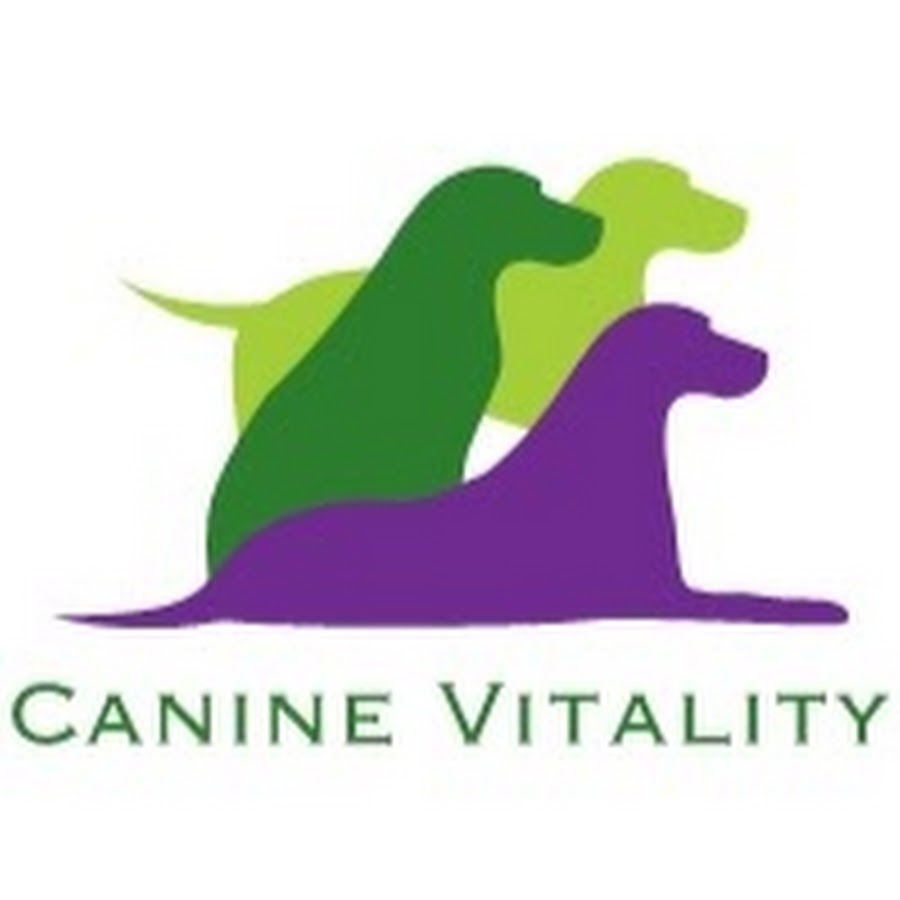 Happy Healthy Dogs YouTube channel avatar