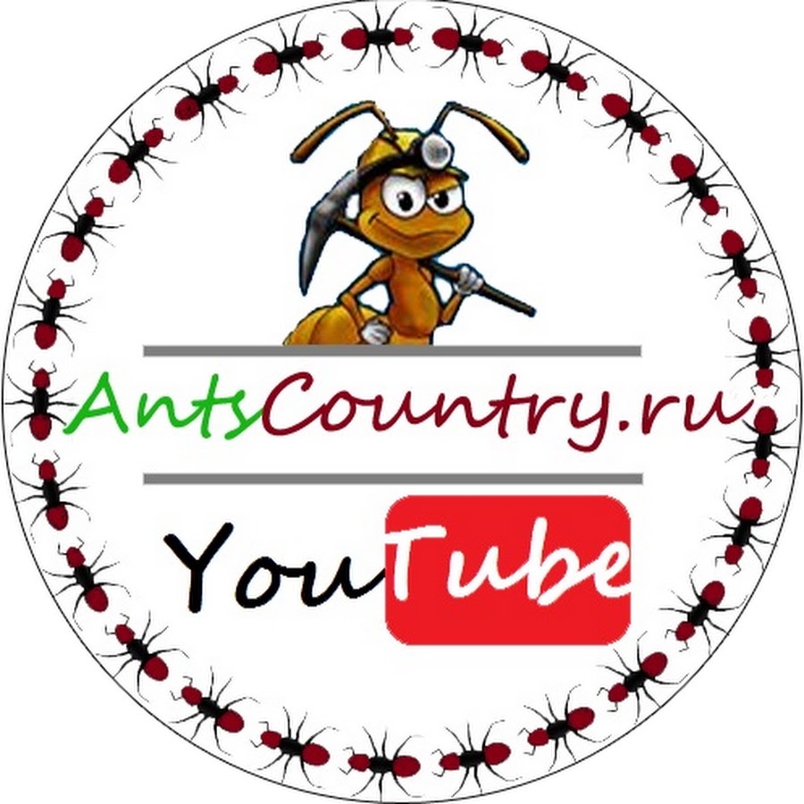 AntsCountry رمز قناة اليوتيوب