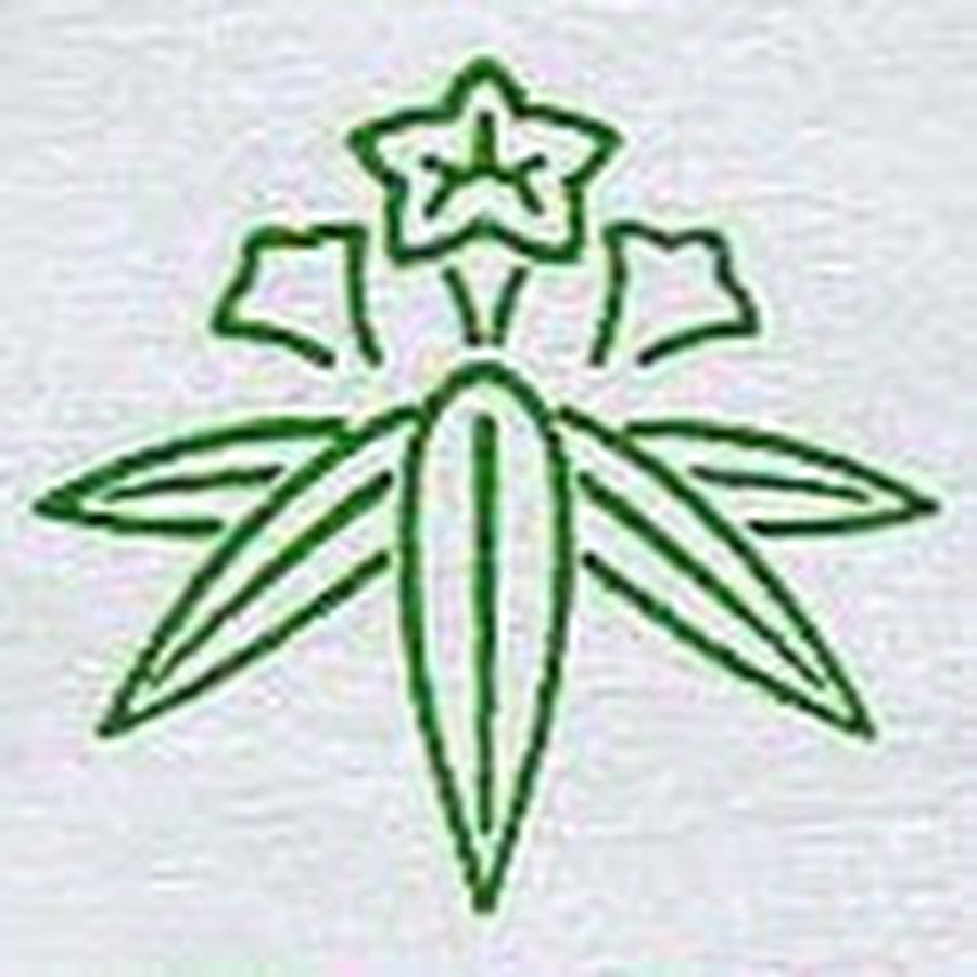 鎌倉市議選を盛り上げよう Youtube