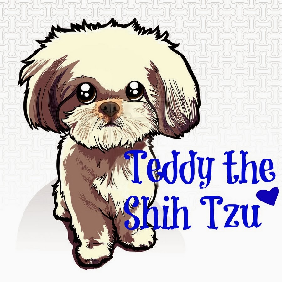 Teddy Thompson YouTube channel avatar