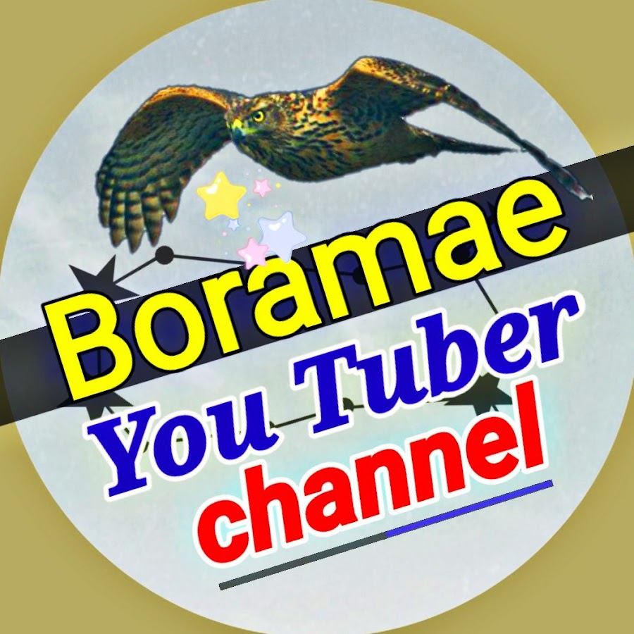 ë³´ë¼ë§¤ YouTube channel avatar