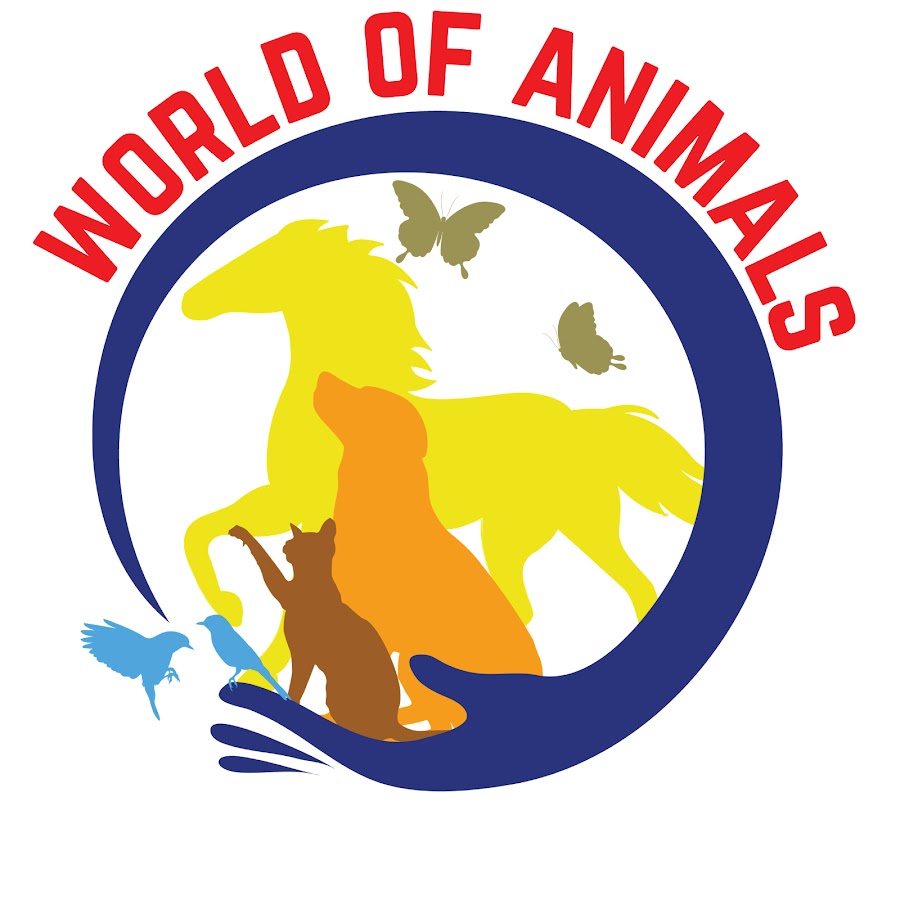 World Of Animals यूट्यूब चैनल अवतार