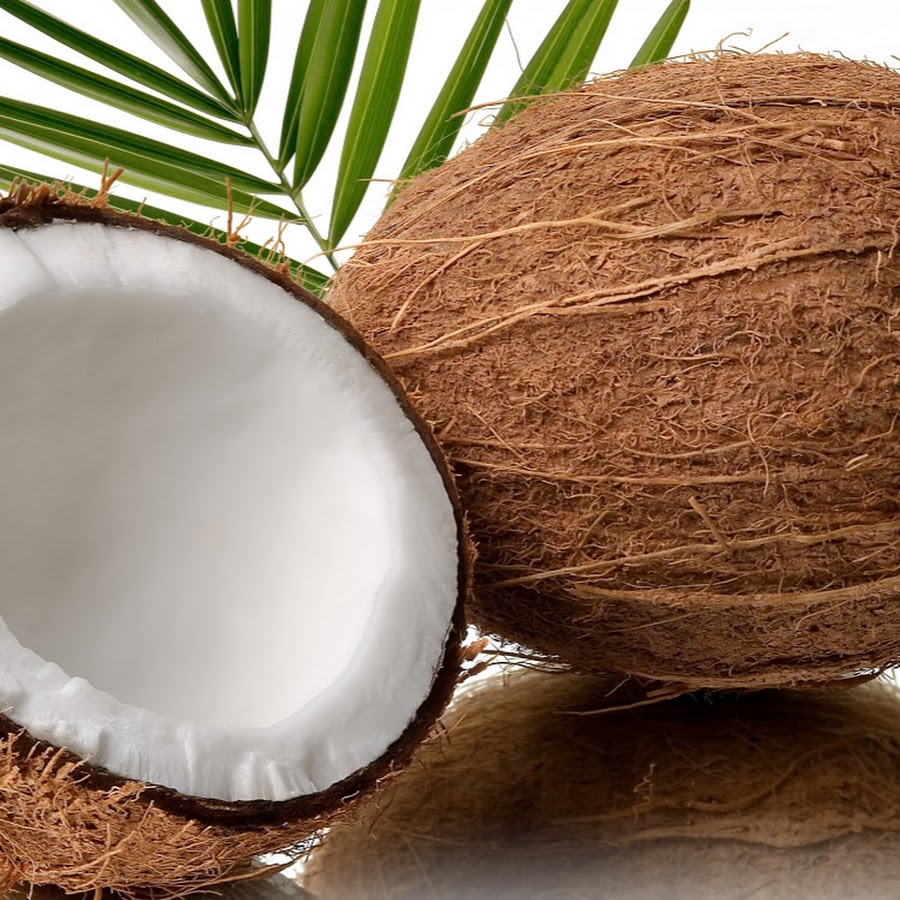 i'm coconut YouTube channel avatar