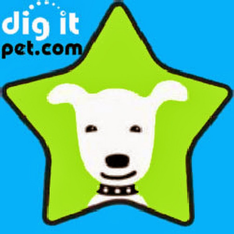 Dig it Pet Supplies رمز قناة اليوتيوب