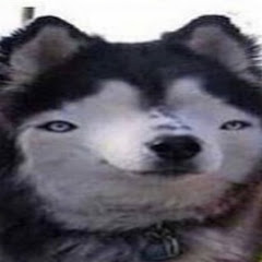 IDK