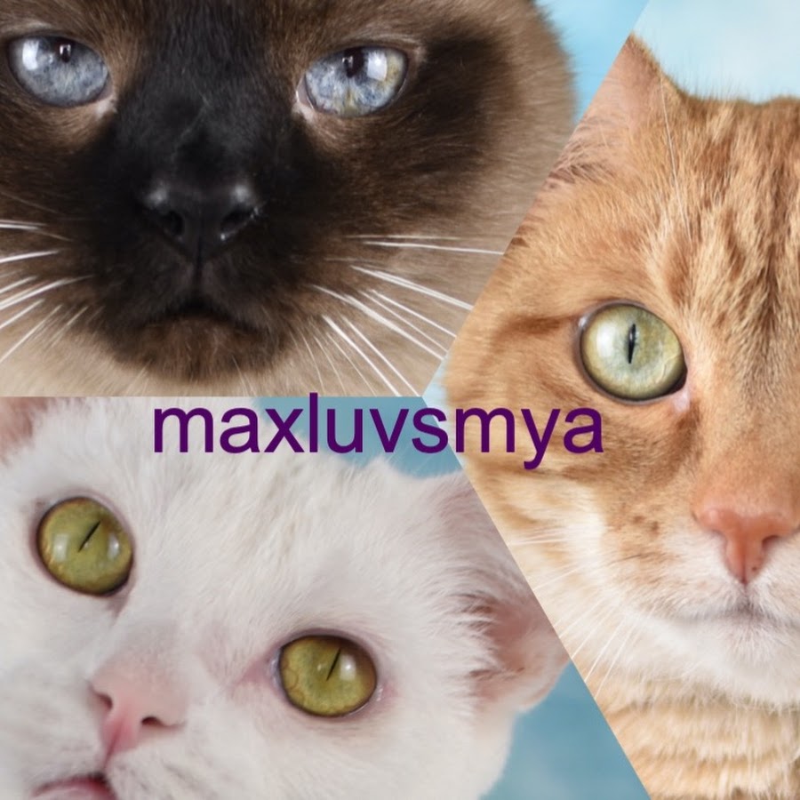 MaxluvsMya ইউটিউব চ্যানেল অ্যাভাটার