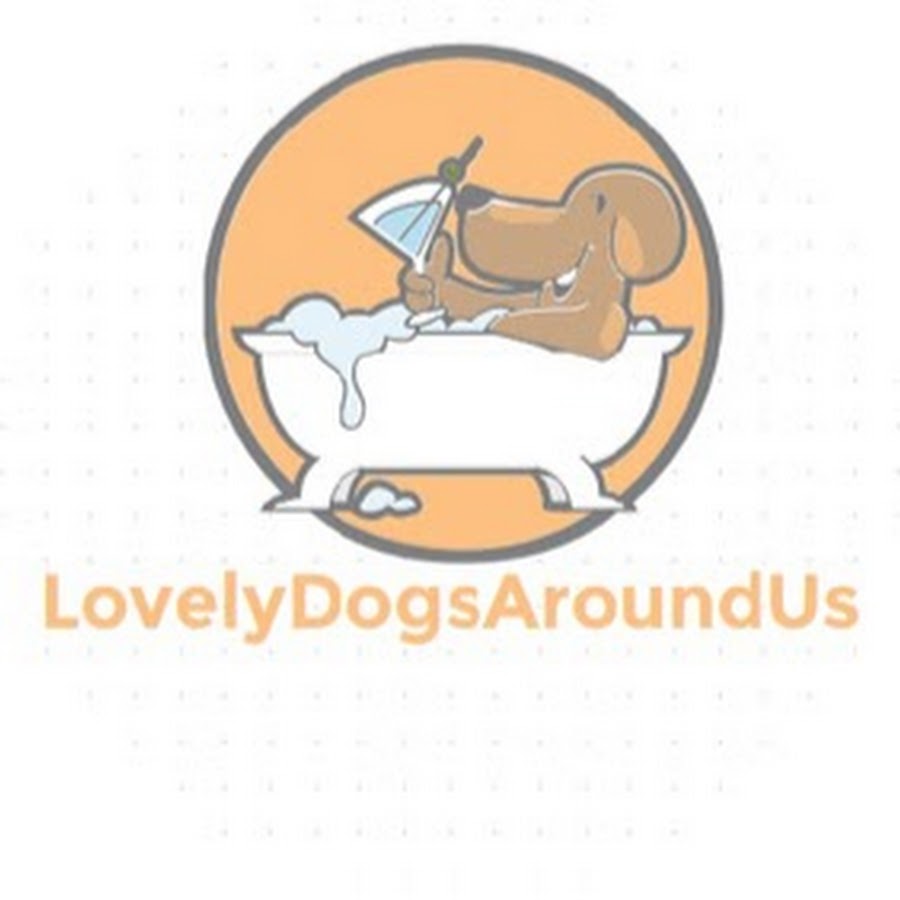 Lovely Dogs Around Us YouTube 频道头像