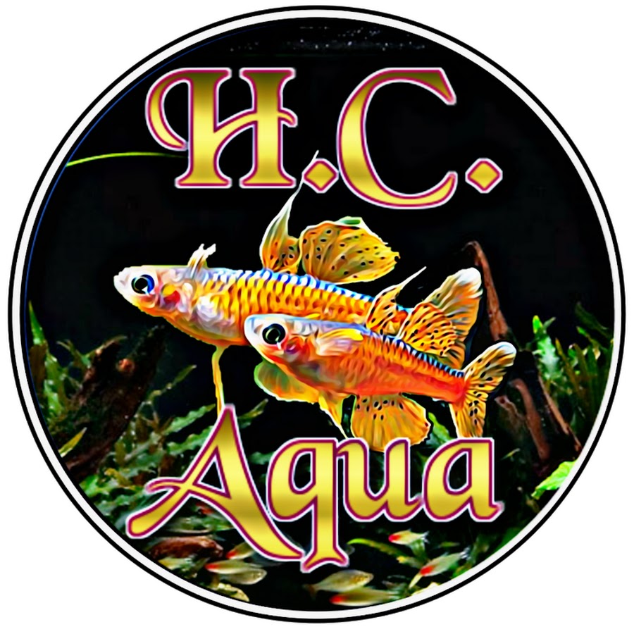 Hc Aqua Youtube