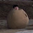 가니