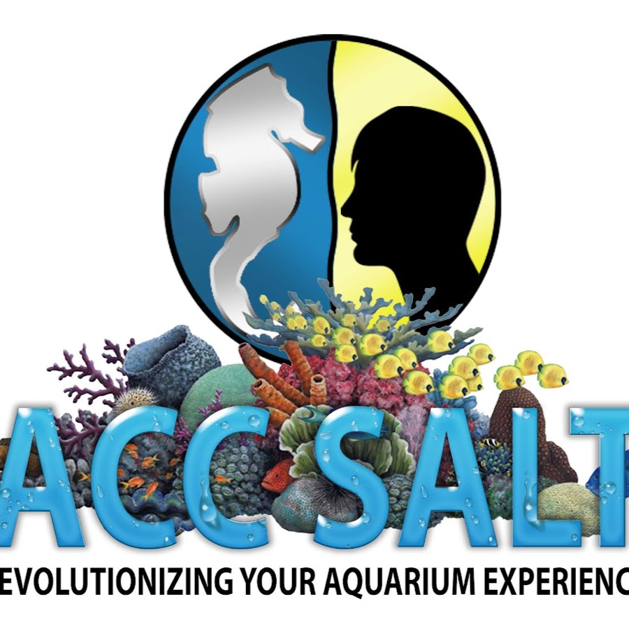 Aquarium Care Center Avatar canale YouTube 