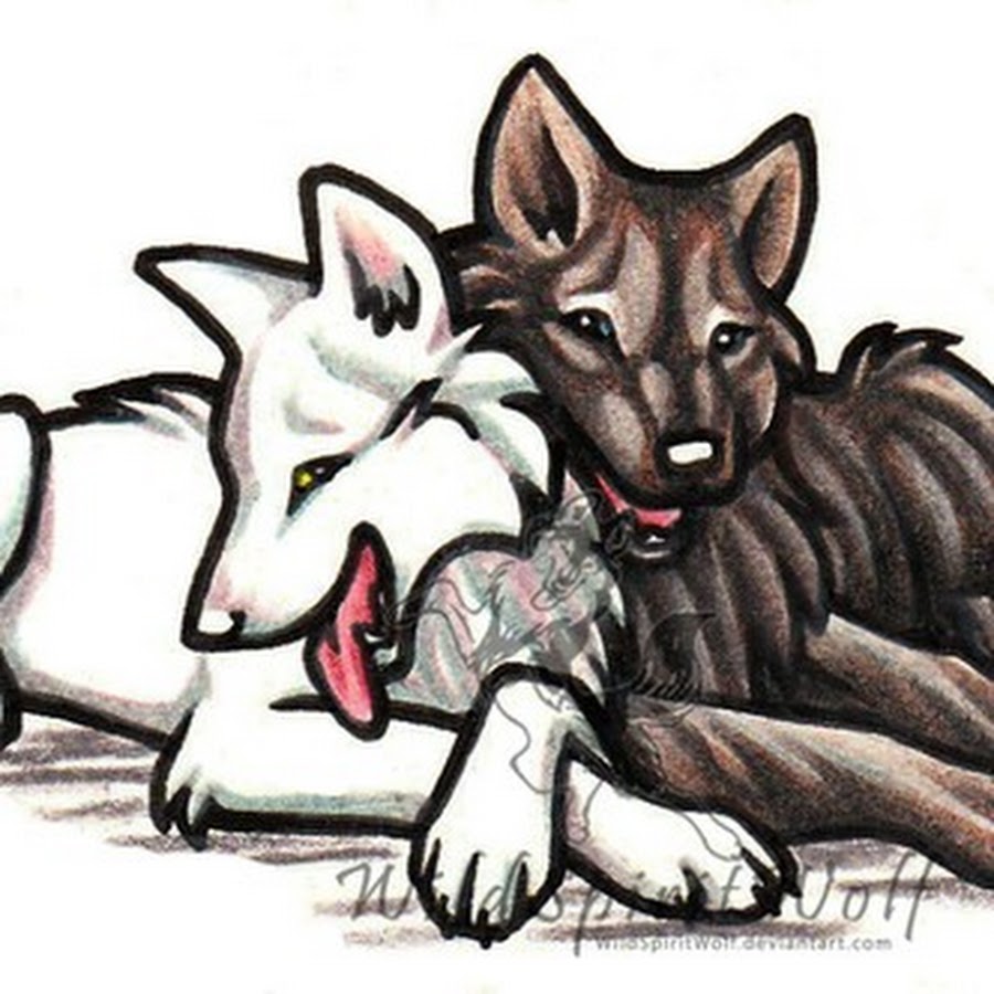 Волк и кошка рисунок