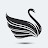 Swan In volatility