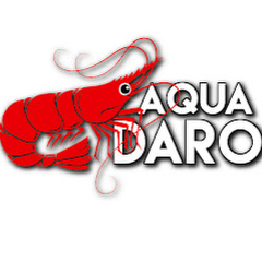 Aqua Daro