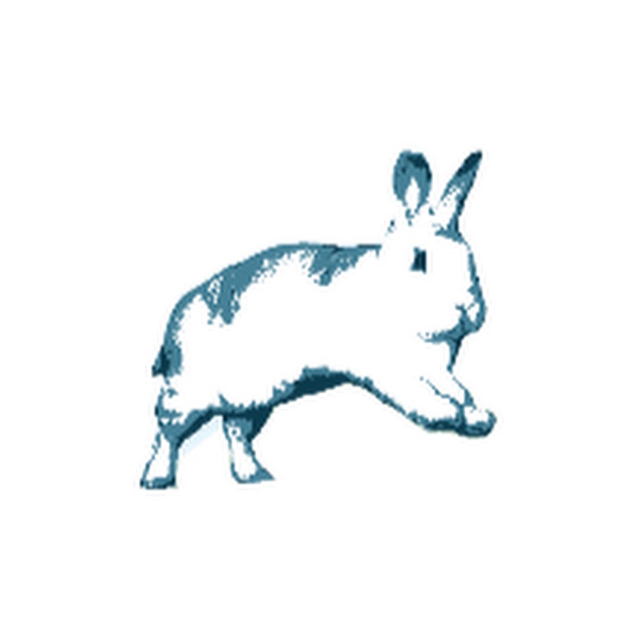 Binky Bunny YouTube channel avatar