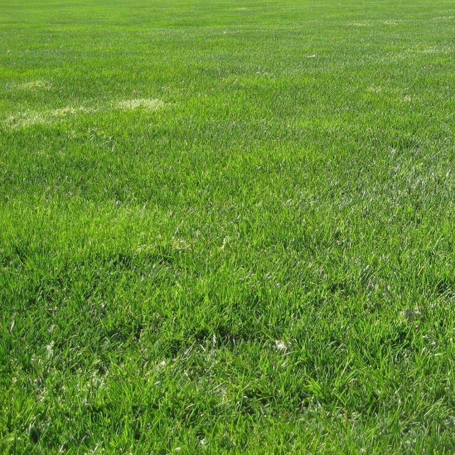 Искусственная трава на даче. Газон вид сверху. Пластиковый газон. Поле с прошивкой. Укладка искусственного газона.