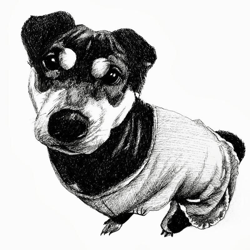 Franctasyart 叫我朵爸 - 網紅的藏寶箱 