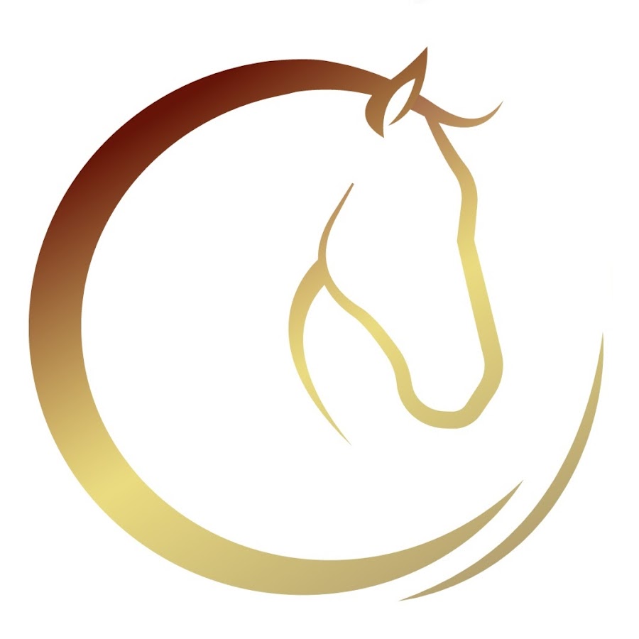 The Willing Equine Avatar channel YouTube 