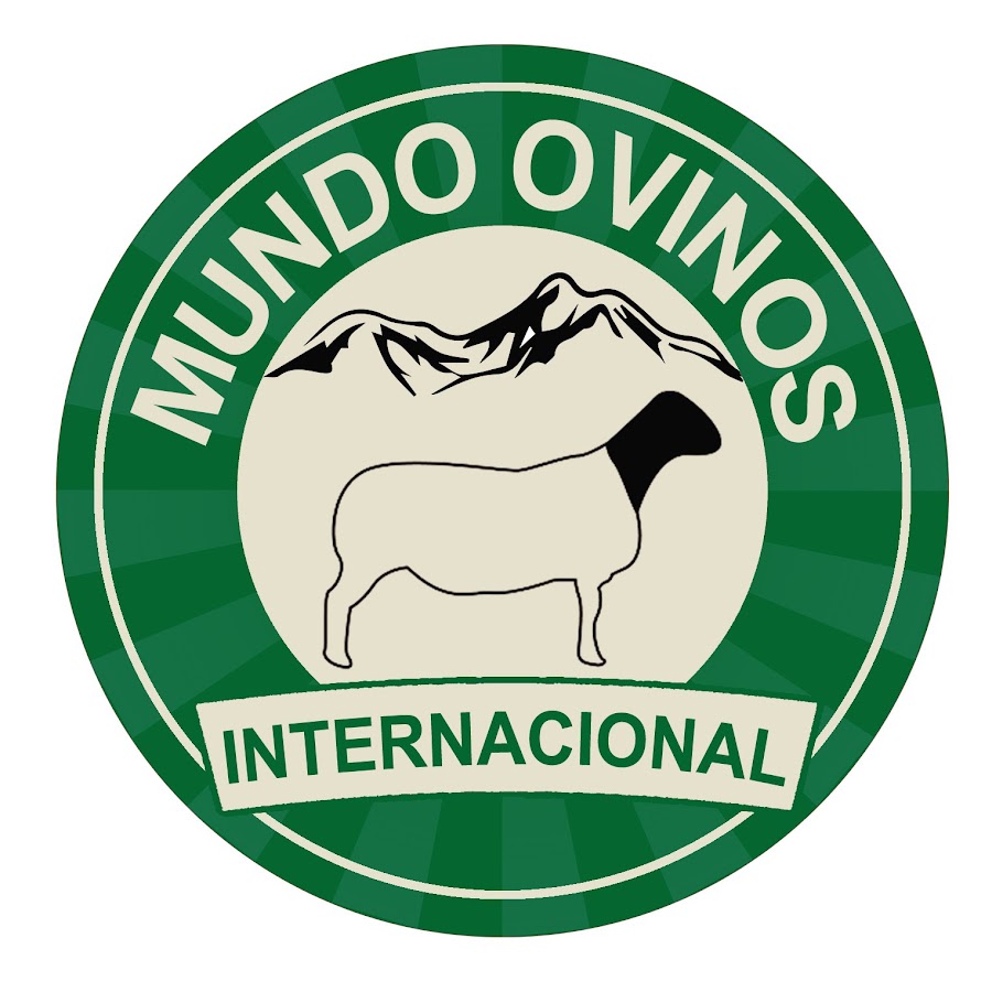 Mundo Ovinos YouTube channel avatar