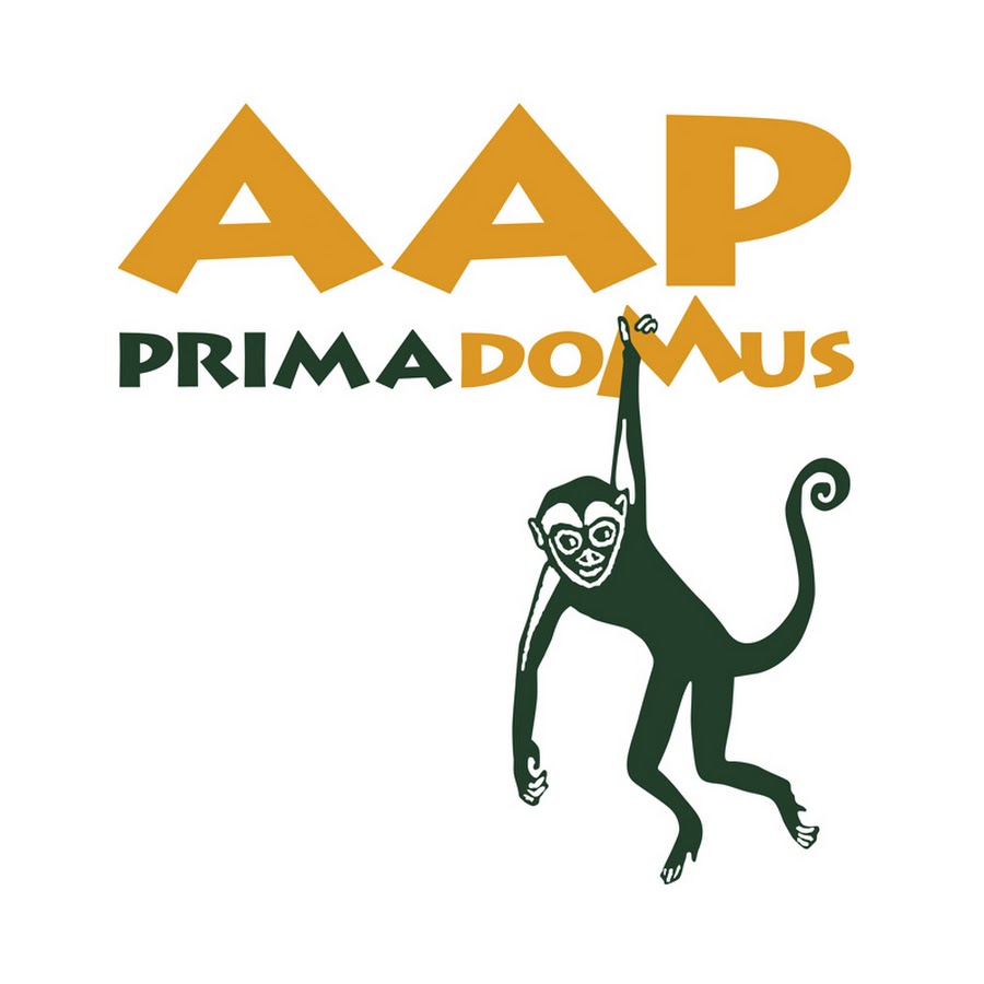 AAPPrimadomus YouTube kanalı avatarı