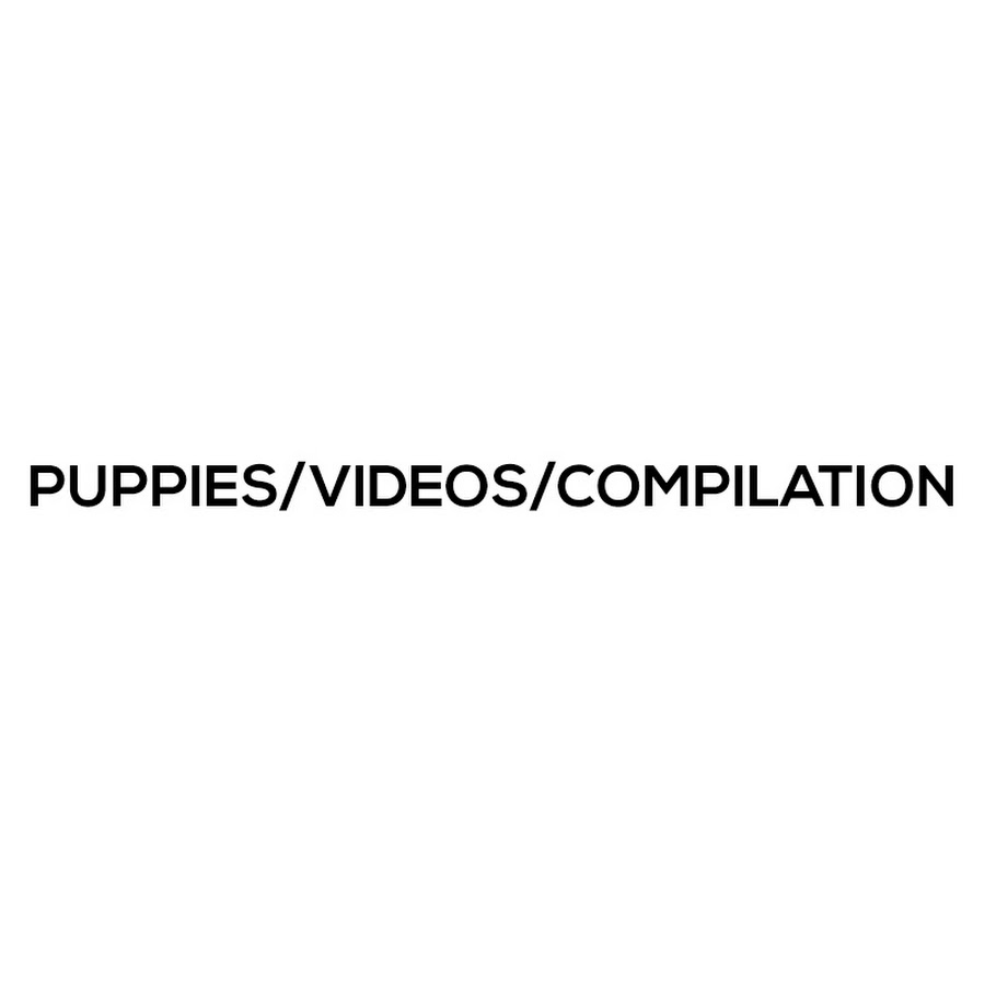 Puppies/Videos/Compilation YouTube channel avatar