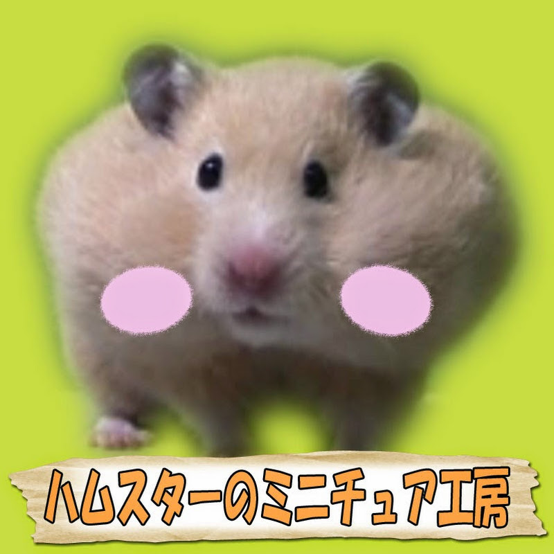 ハムスターのミニチュア工房 - HMS - 網紅的藏寶箱 