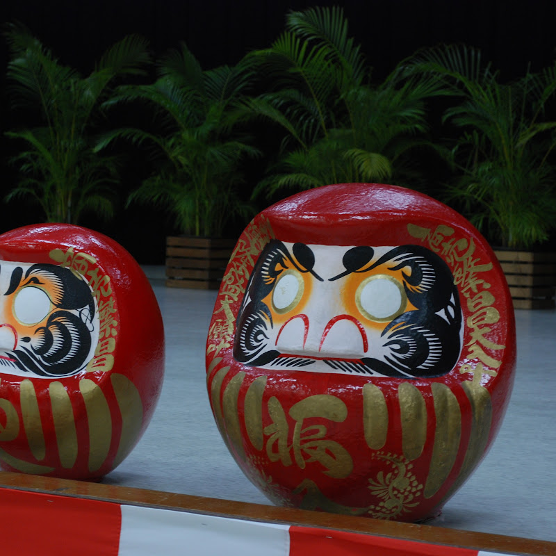 Kana - 網紅的藏寶箱 