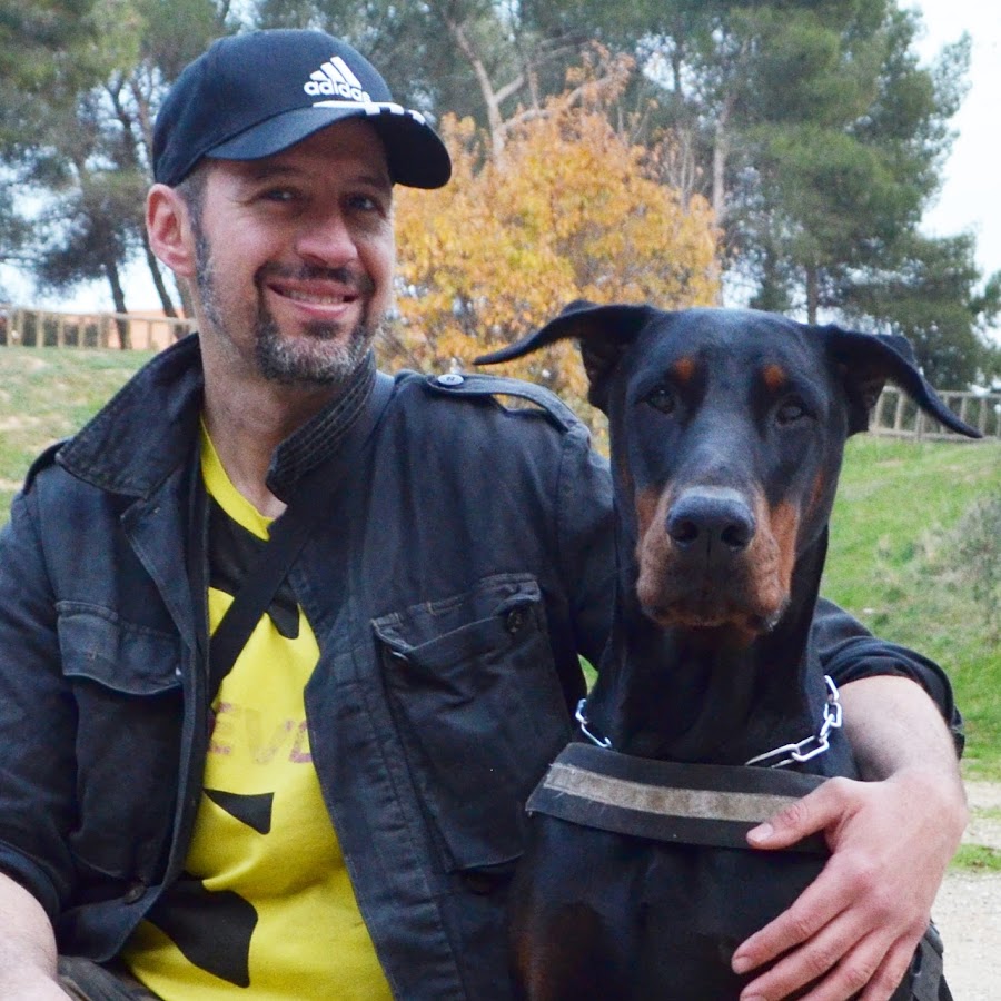 Adiestramiento Canino Dalecan YouTube channel avatar