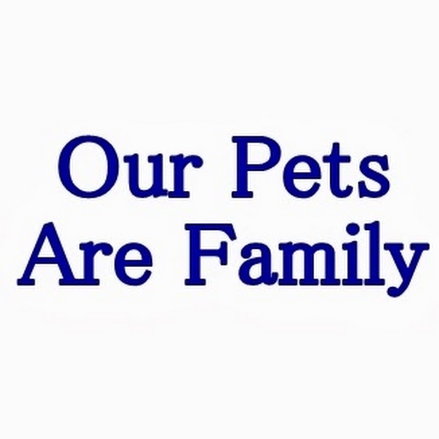 OurPetsAreFamily YouTube channel avatar