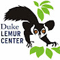 Duke Lemur Center - @DukeLemurCenter YouTube Profile Photo