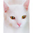 PURUMI CAT