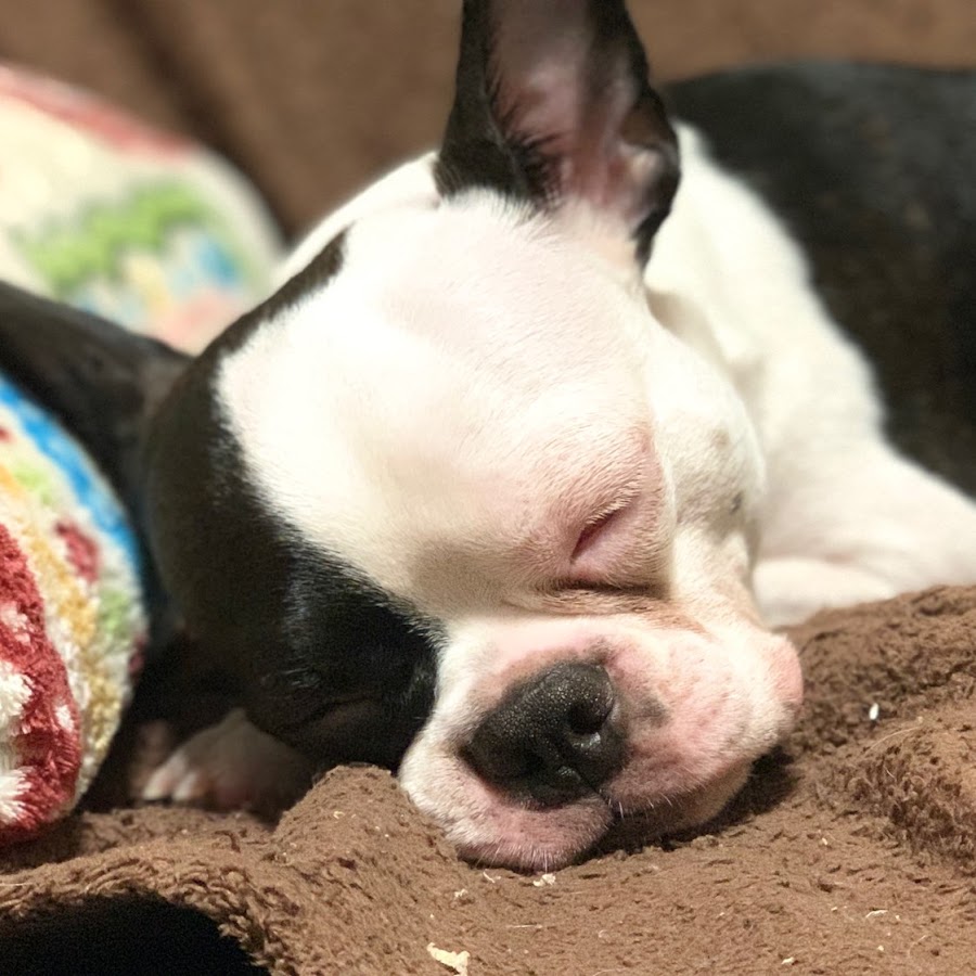 山田亜樹人 Youtube