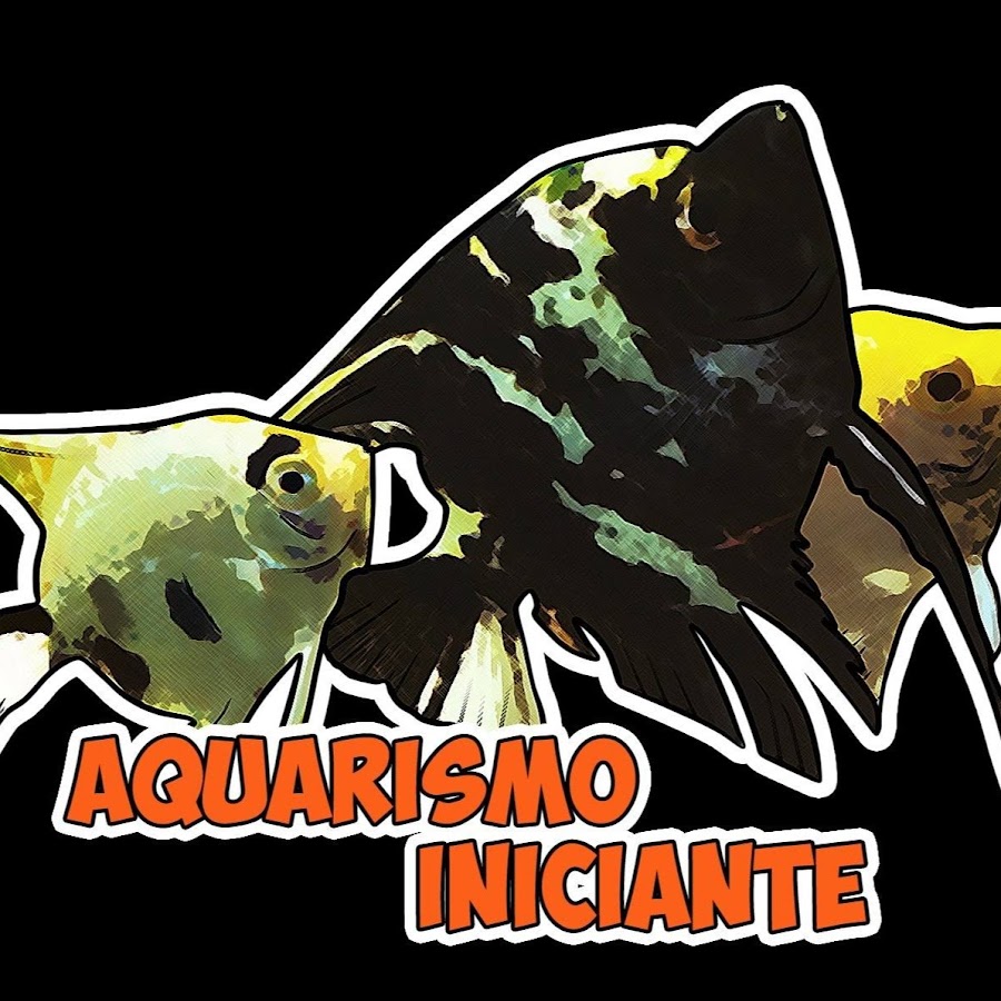 Aquarismo Iniciante YouTube channel avatar