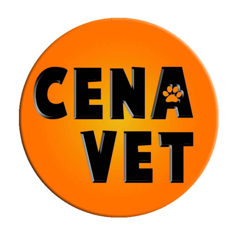 Cena Vet Avatar de chaîne YouTube