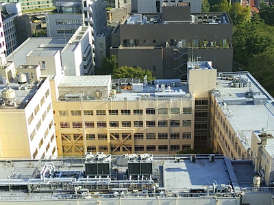 無料ダウンロード 上智 大学 画像 230942