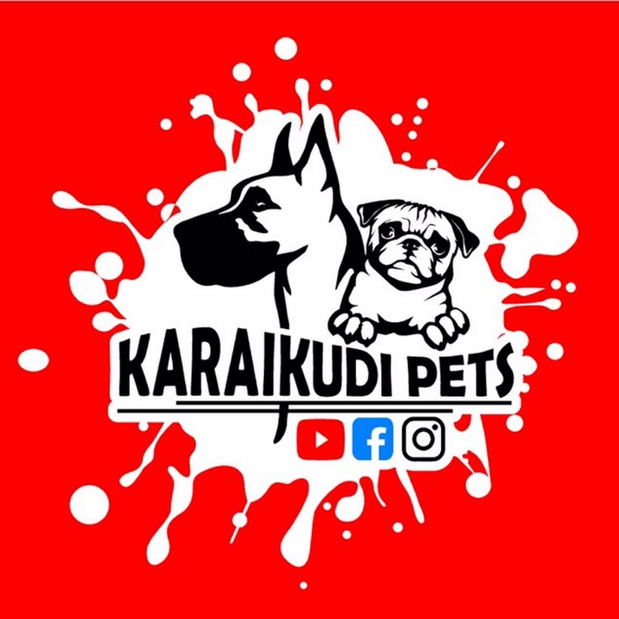 KARAIKUDI PETS YouTube channel avatar