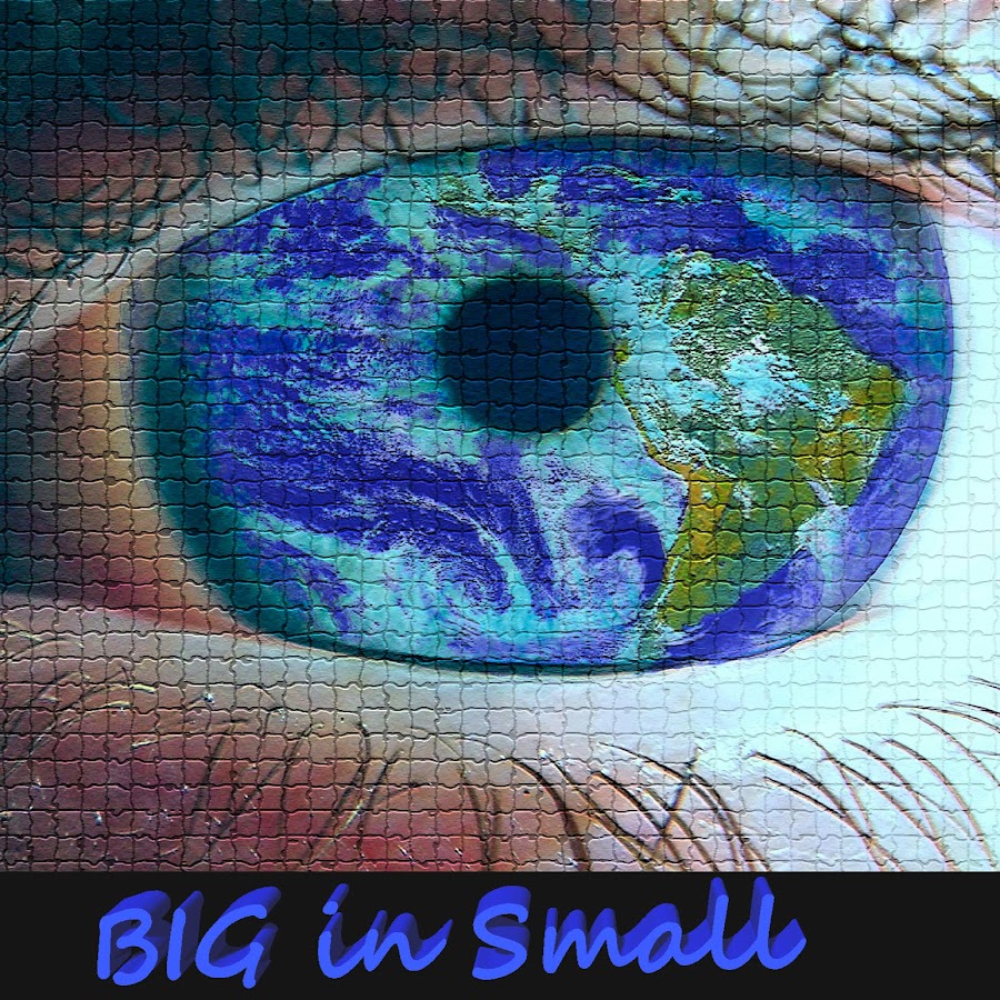 Big in Small Avatar canale YouTube 