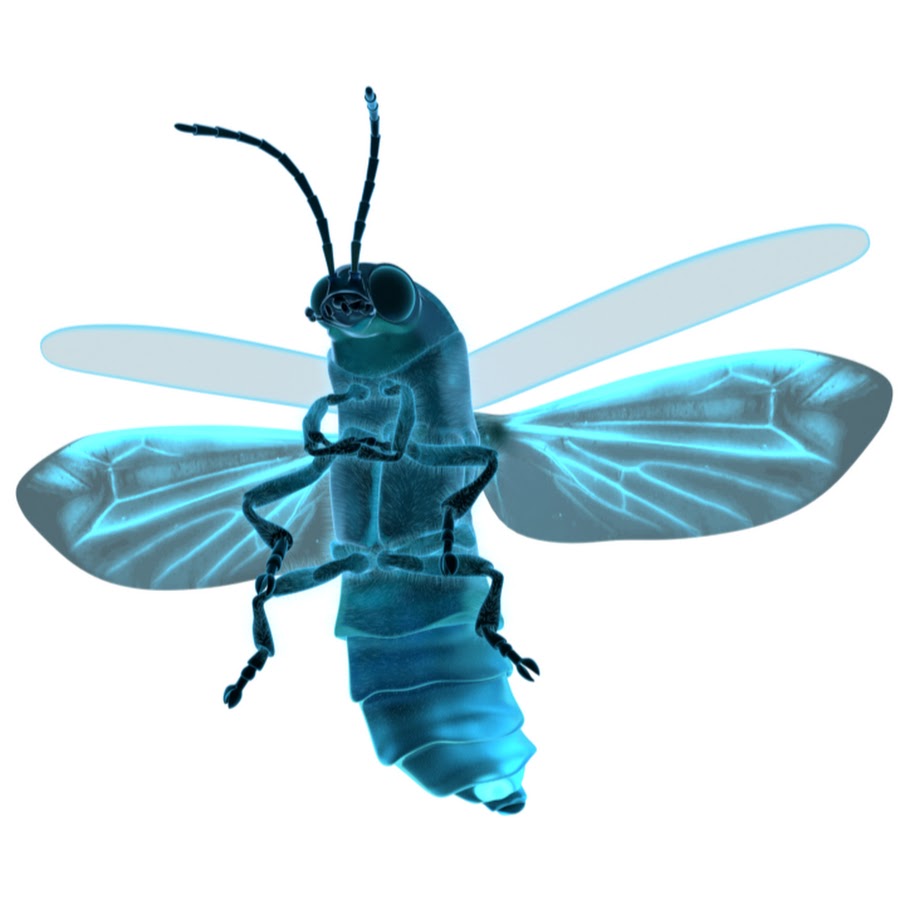 Glowfly 3D - flora and fauna tutorials for artists YouTube channel avatar