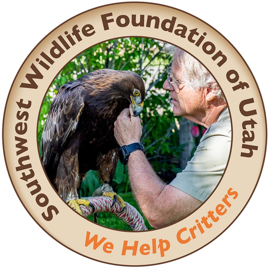 Southwest Wildlife Foundation of Utah YouTube channel avatar