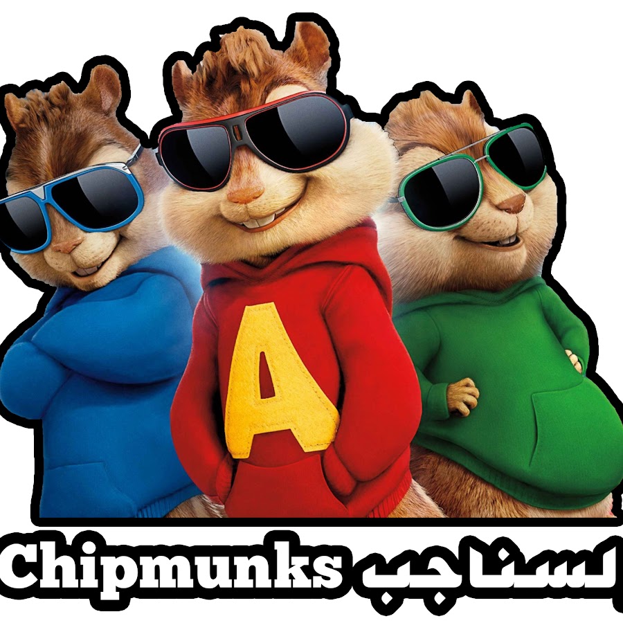 السناجب Chipmunks