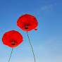 Fort Langley Remembrance Day YouTube Profile Photo