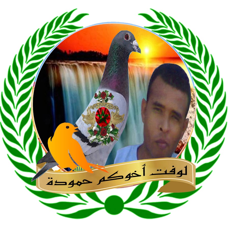 hamam zajil hamoda laayoune Аватар канала YouTube